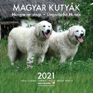 Magyar kutyák 2021