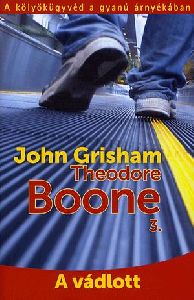 Theodore Boone 3.: A vádlott