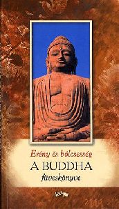 Erény és bölcsesség