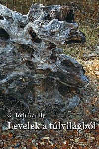 Levelek a túlvilágból