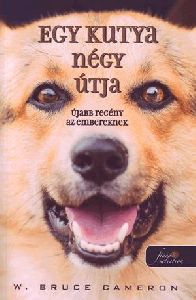 Egy kutya négy útja