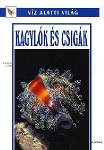 Kagylók és csigák