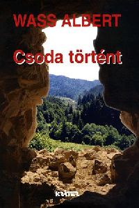 Csoda történt (Cenzúrázatlan novelláskötet)