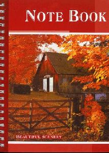 Keményfedeles vonalas füzet (többféle mintával) - OF13299