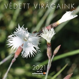 Védett virágaink 2021