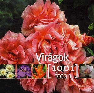 Virágok 1001 fotón