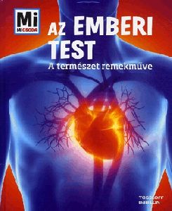 Az emberi test