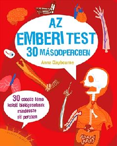 Az emberi test 30 másodpercben