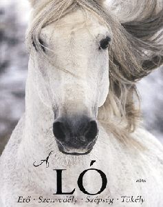 A ló