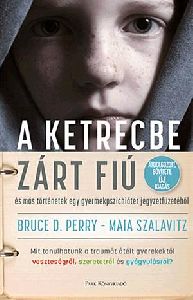 A ketrecbe zárt fiú - és más történetek egy gyerekpszichiáter jegyzetfüzetéből