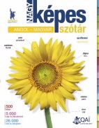 Nagy képes szótár angol-magyar