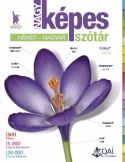 Nagy képes szótár német-magyar