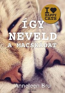 Így neveld a macskádat