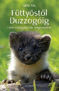 Füttyöstől Duzzogóig